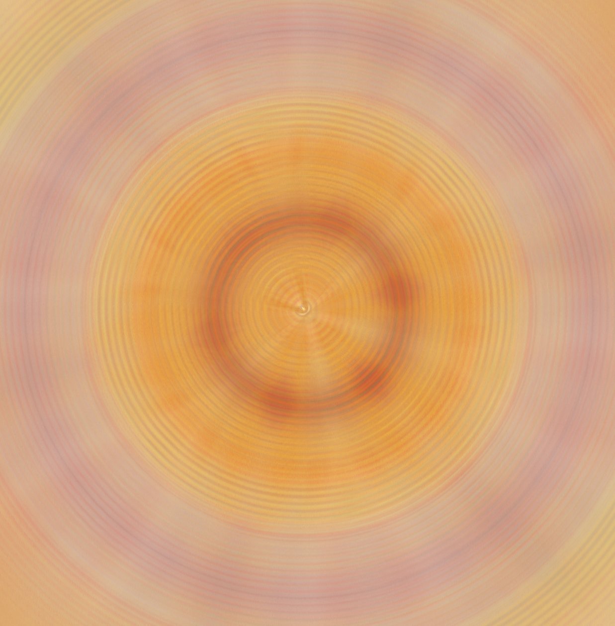 Platten, 2019 von Alex Caminker