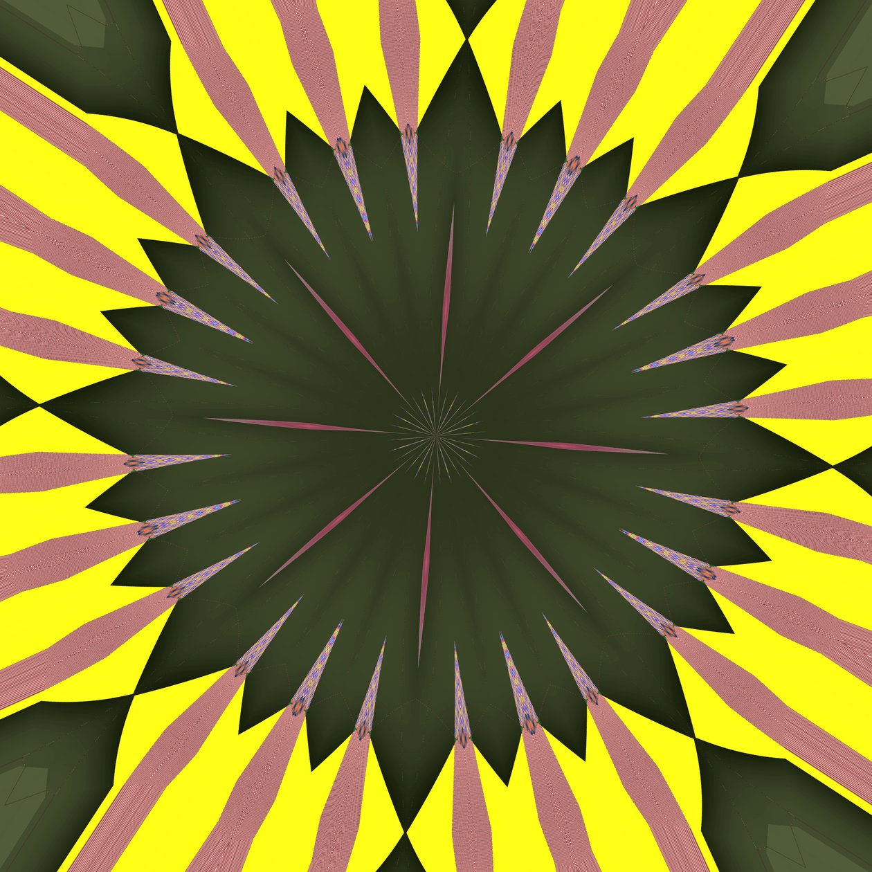 Sonnenblume von Alex Caminker