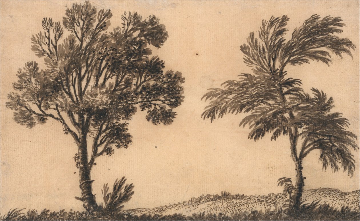Studie von zwei Weiden von Alexander Cozens