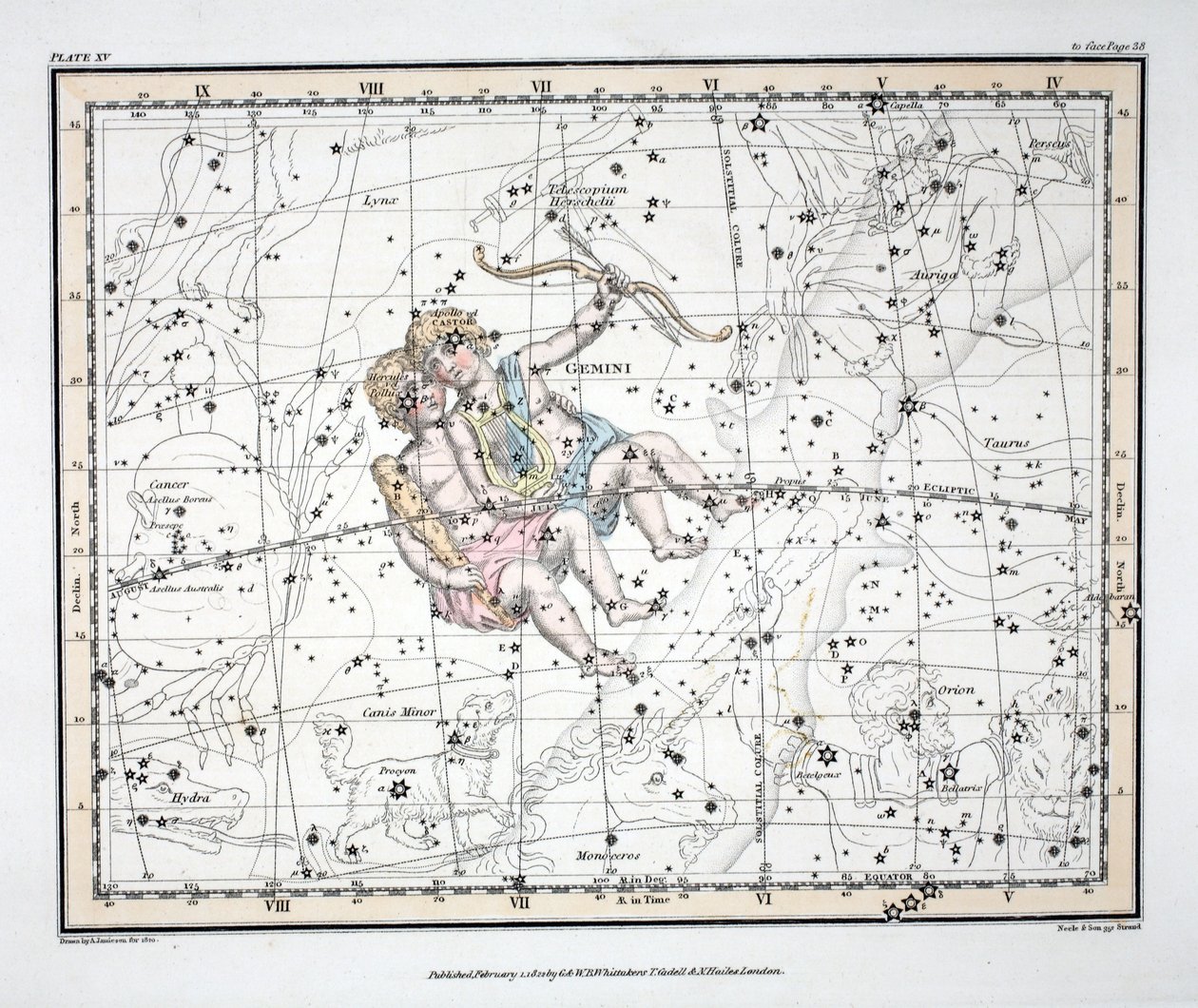 Die Sternbilder (Tafel XV) Zwillinge, aus 