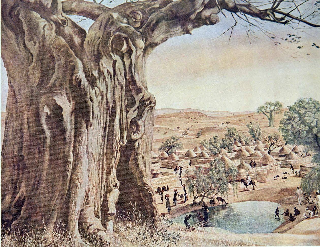 Ein Baobab (Sudan), aus Dessins et Peintures d