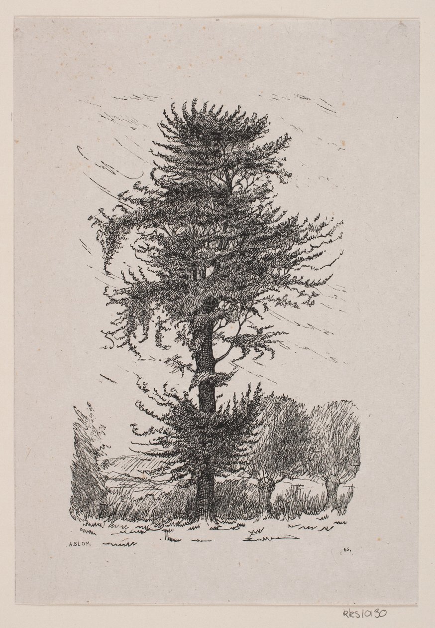 Eiche bei Guldberg von Alexander Blom