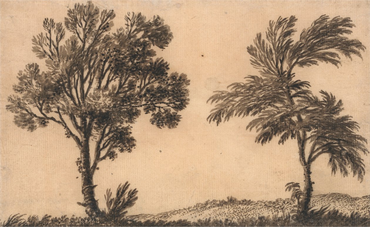 Studie von zwei Weiden von Alexander Cozens