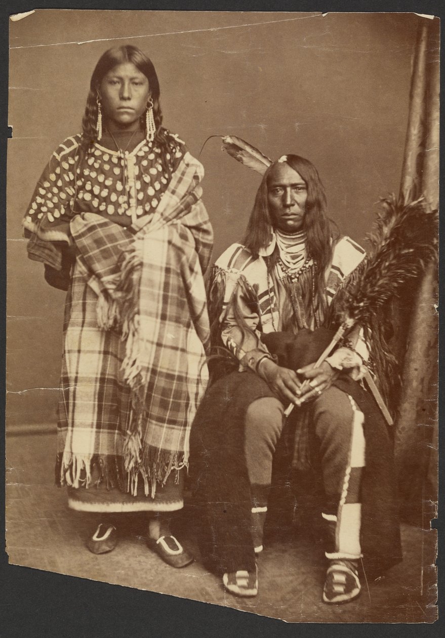 [Unidentifiziertes indianisches Paar] von Alexander Gardner