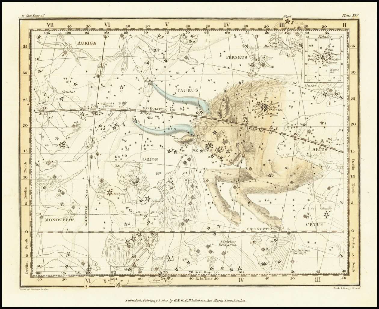 1822 - Alexander Jamieson - Stier von Alexander Jamieson