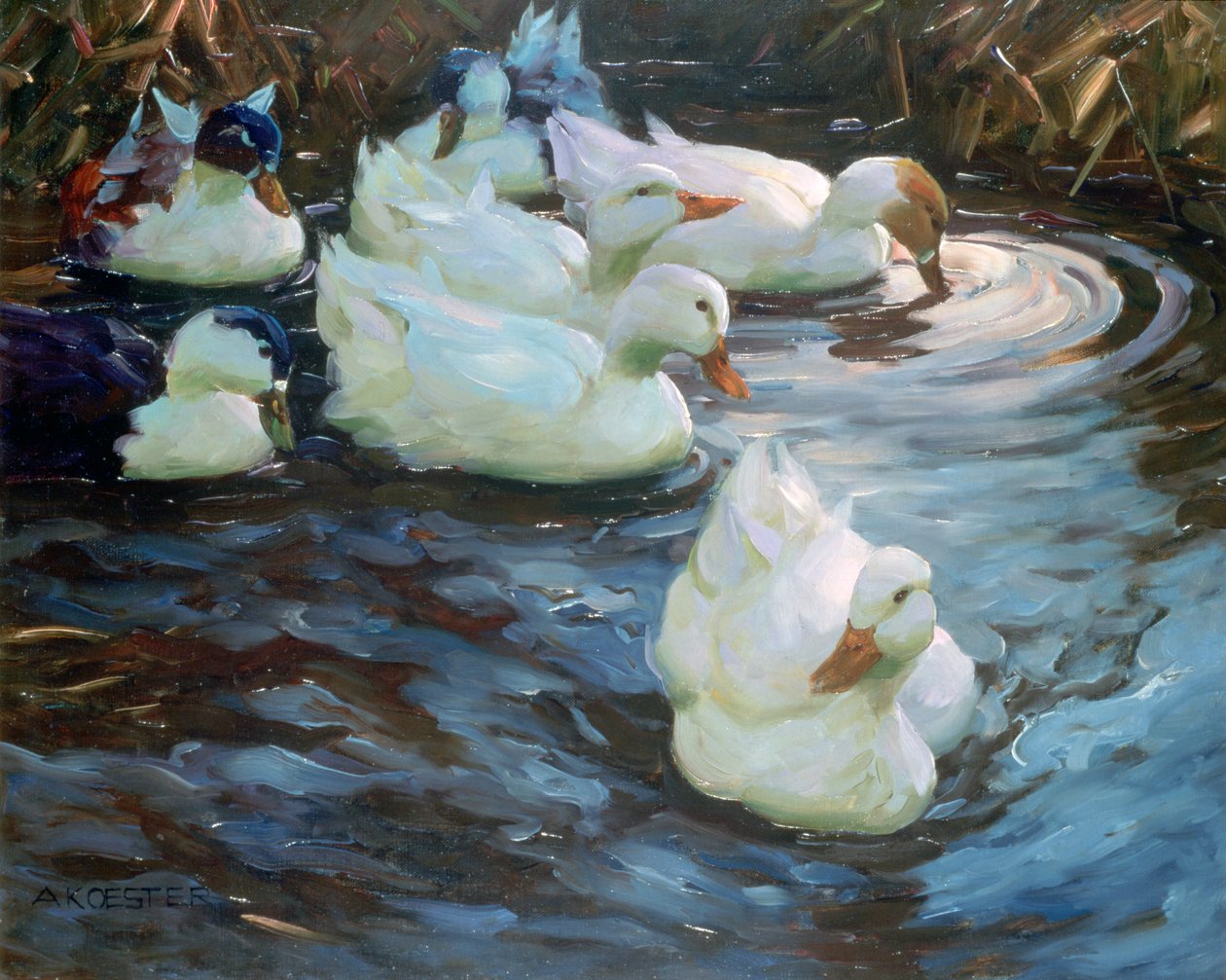Enten auf einem Teich, um 1884-1932 von Alexander Koester