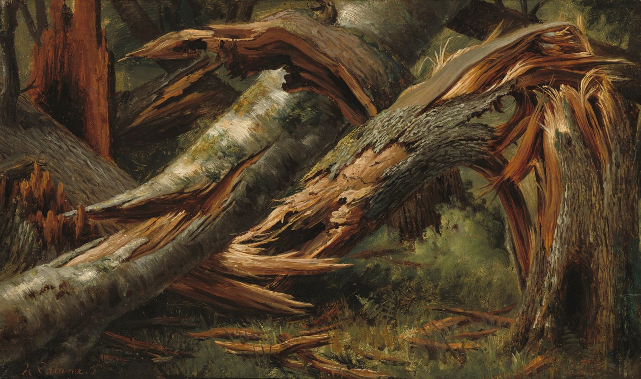 Gefallener Baum von Alexandre Calame