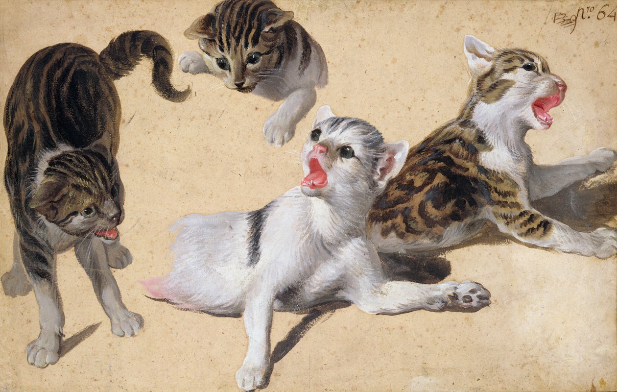 Vier Studien von Kätzchen von Alexandre Francois Desportes
