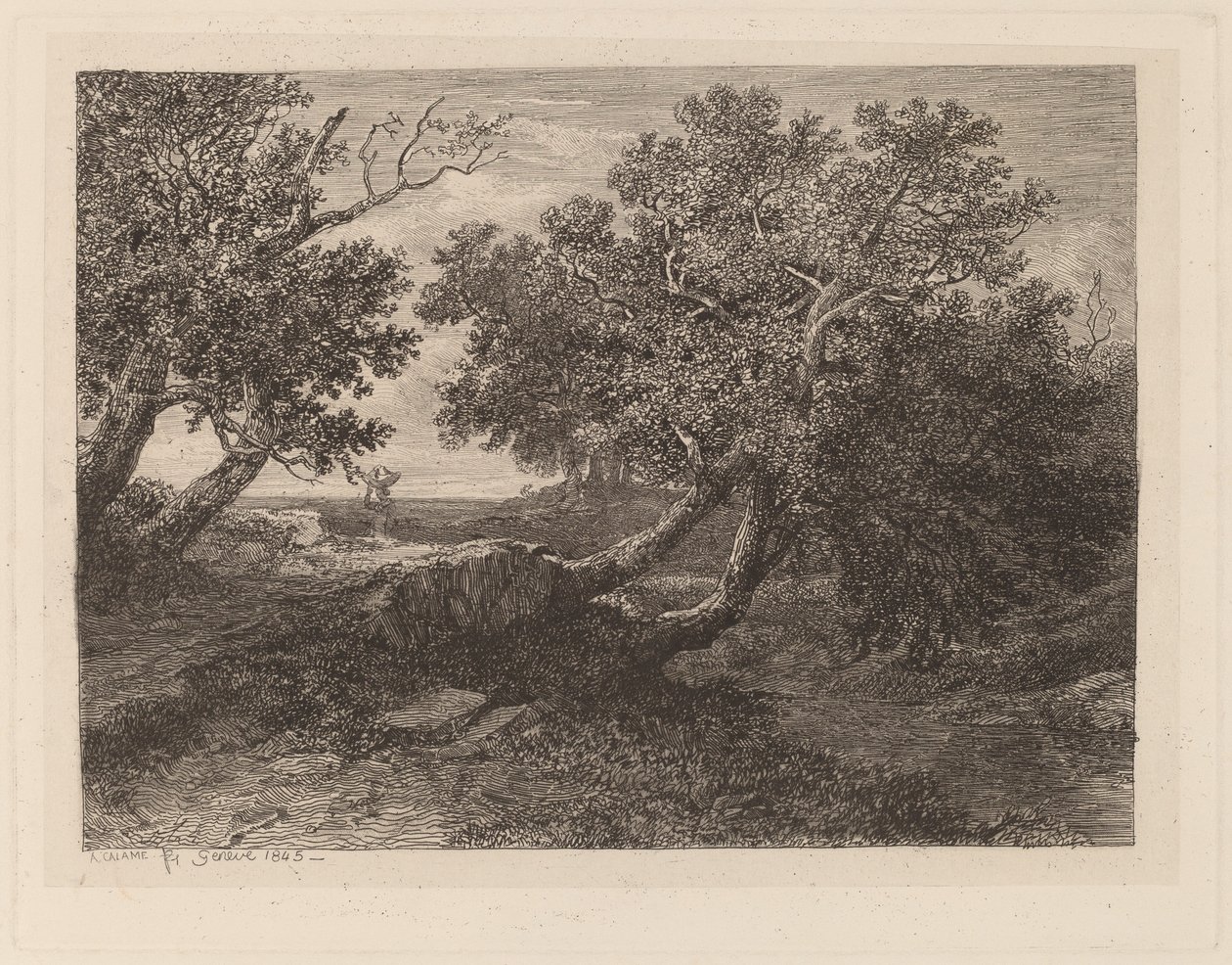 Bach mit überhängenden Bäumen von Alexandre Calame