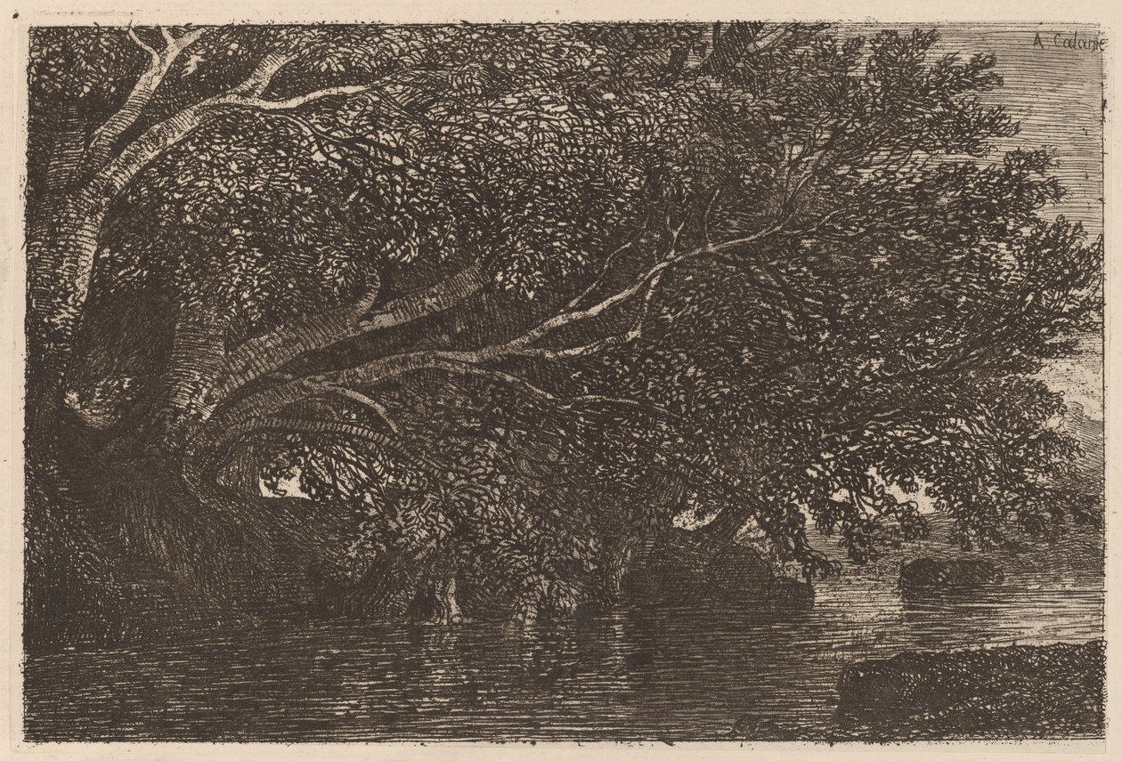 Bäume über einem Teich von Alexandre Calame