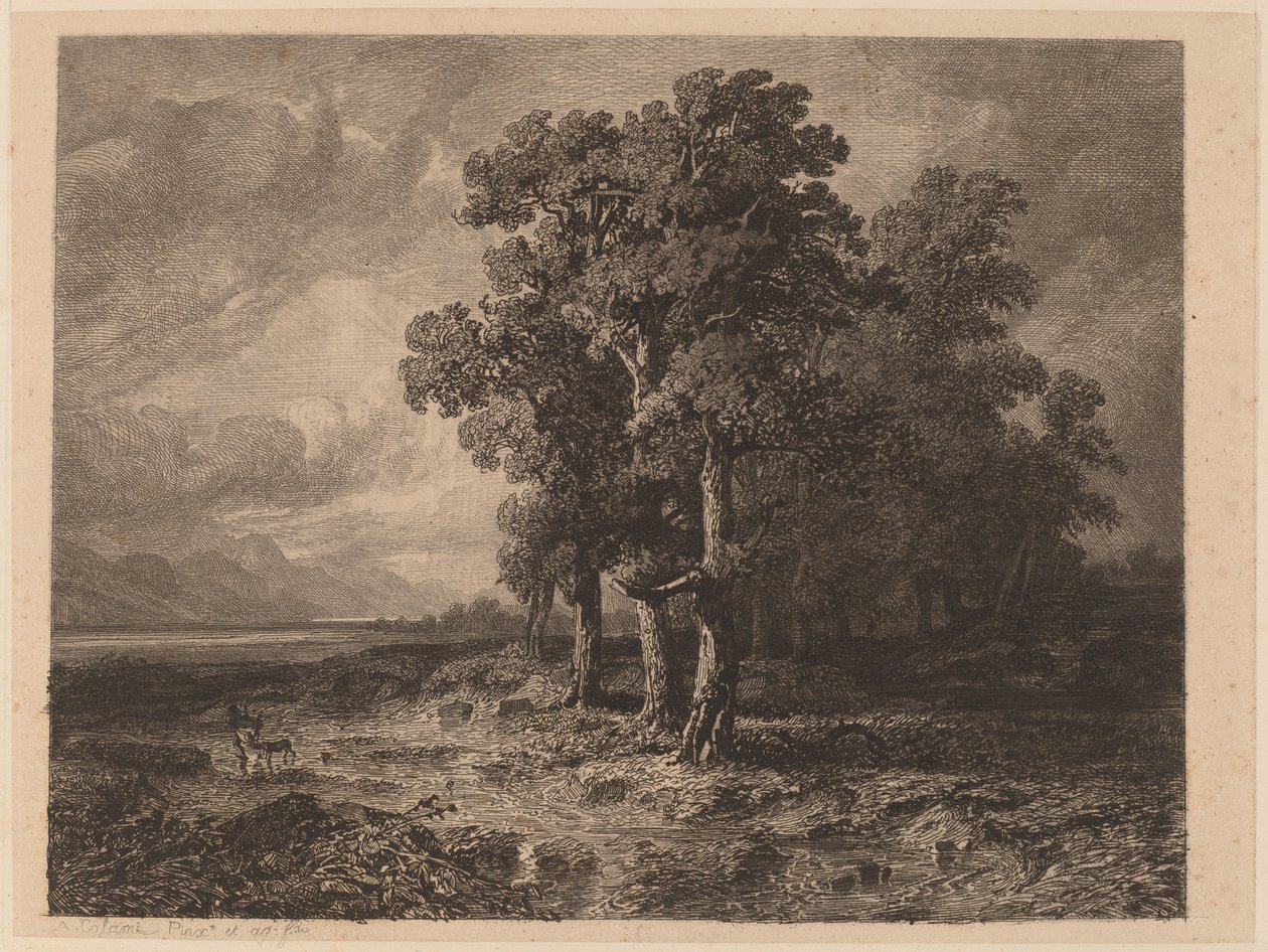 Bäume im Sturm von Alexandre Calame
