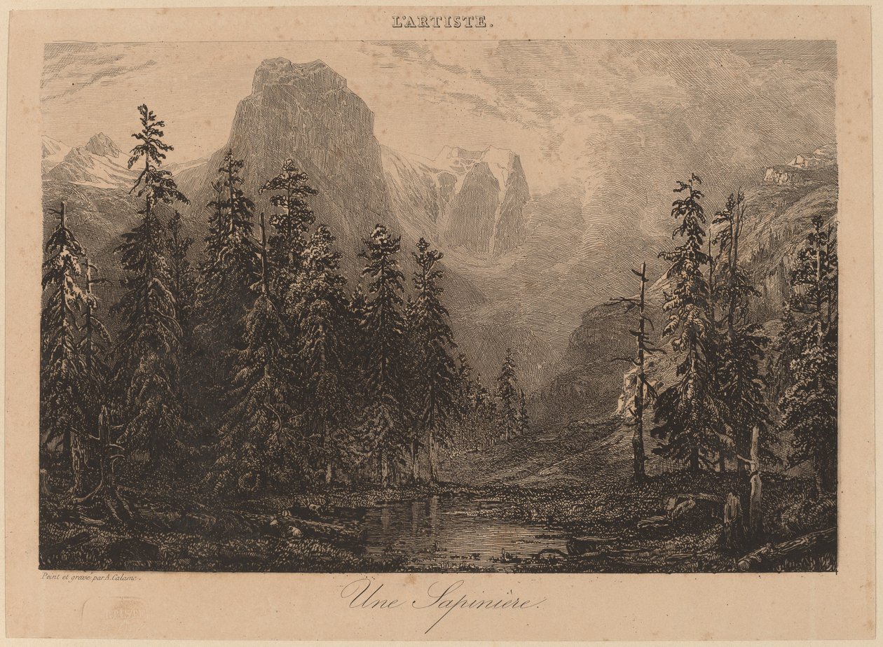 Ein Tannenwald von Alexandre Calame