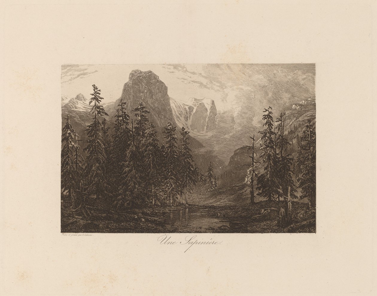 Eine Sapinière von Alexandre Calame