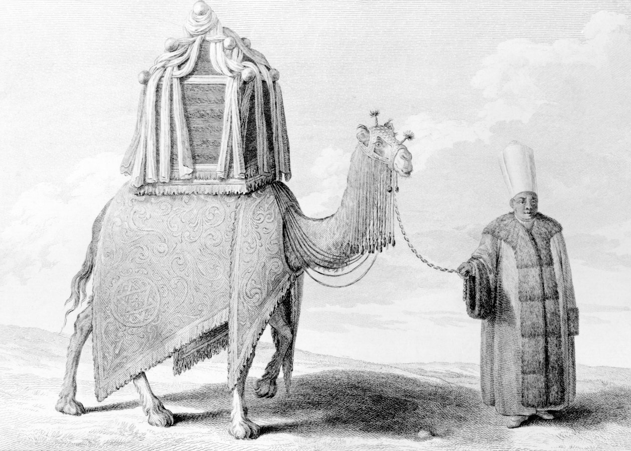 Das heilige Kamel von Alexis Alexandre Perignon