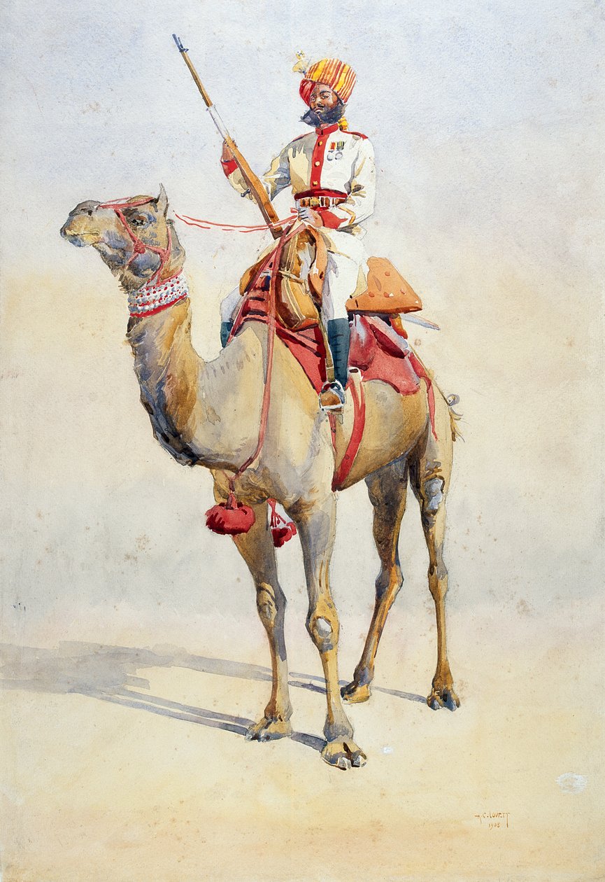Sowar des Bikanir-Kamelkorps, Illustration für 