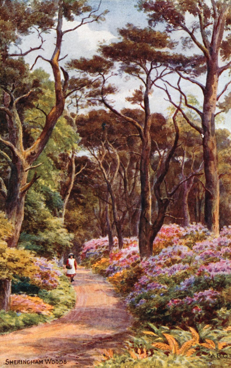 Sheringham Woods von Alfred Robert Quinton