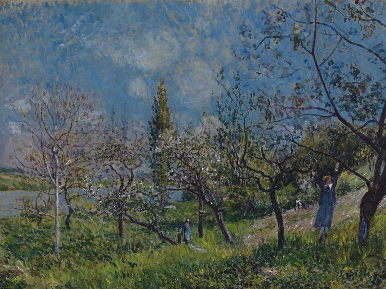 Obstgarten im Frühling von Alfred Sisley
