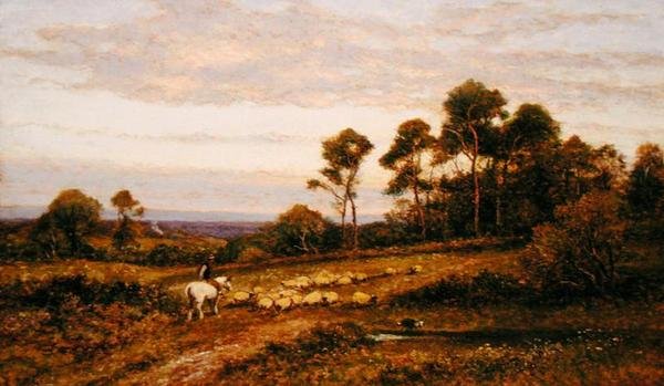 Eine Weide in Surrey von Alfred Augustus Glendening