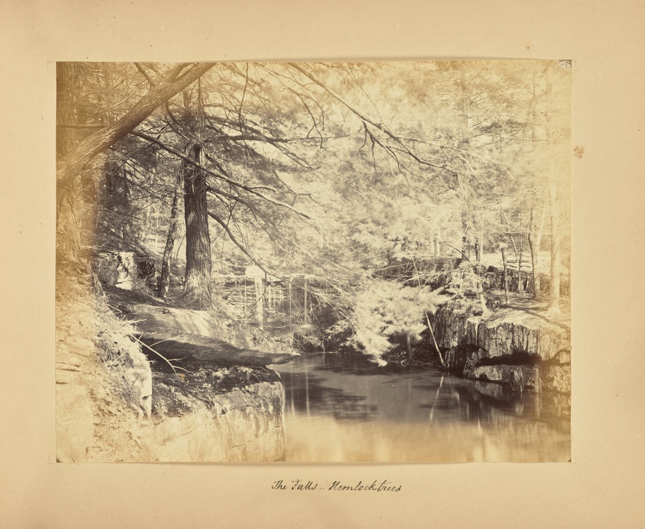 Die Wasserfälle - Hemlocktannen von Alfred Booth