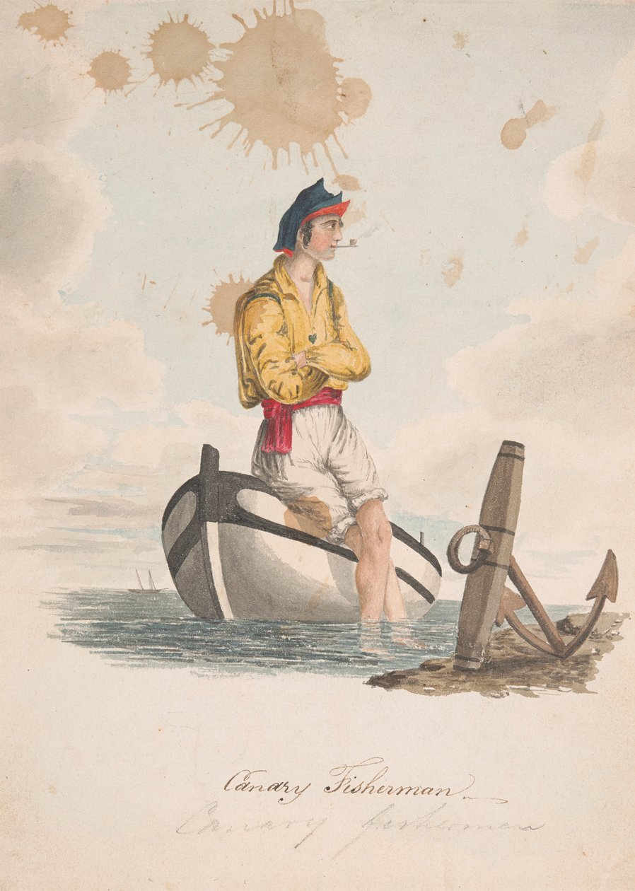 Kanarischer Fischer von Alfred Diston