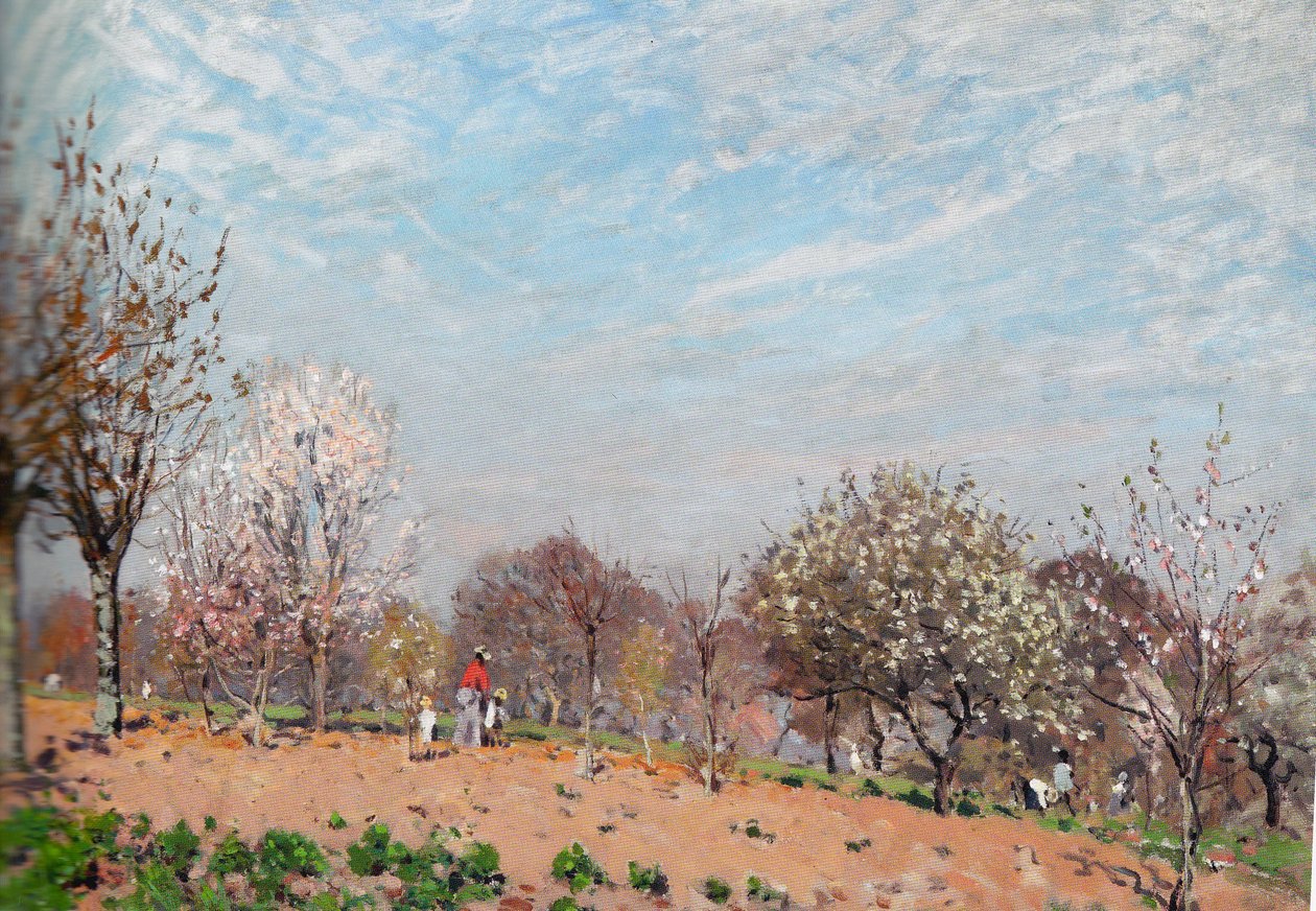 Apfelbäume in Blüte in Louveciennes von Alfred Sisley