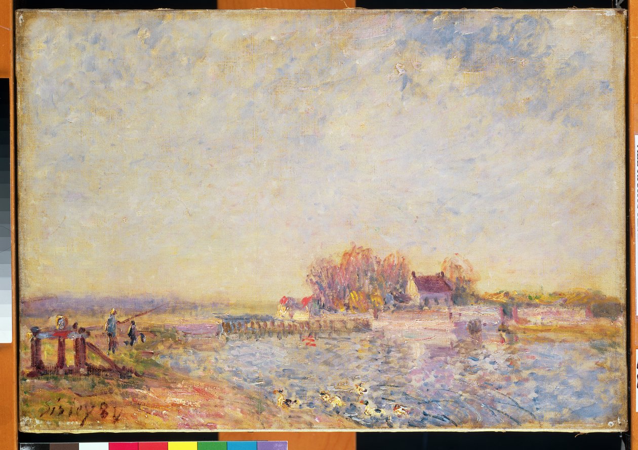 Flusslandschaft mit Enten, 1881 von Alfred Sisley