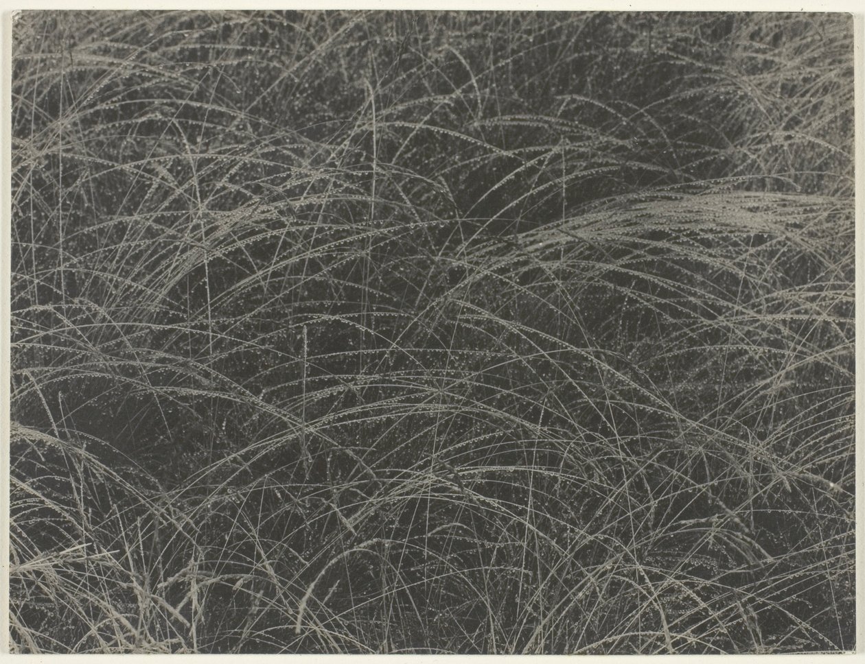 Äquivalent von Alfred Stieglitz