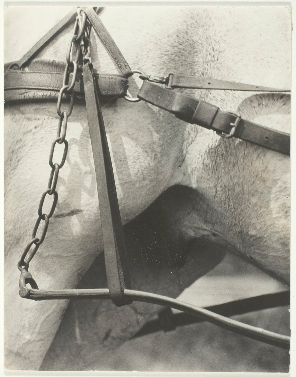 Equivalent, Spiritual America, 1923 von Alfred Stieglitz