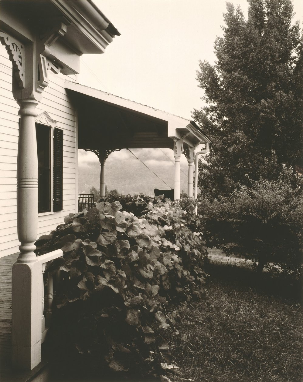 Haus und Weinblätter, 1934 von Alfred Stieglitz