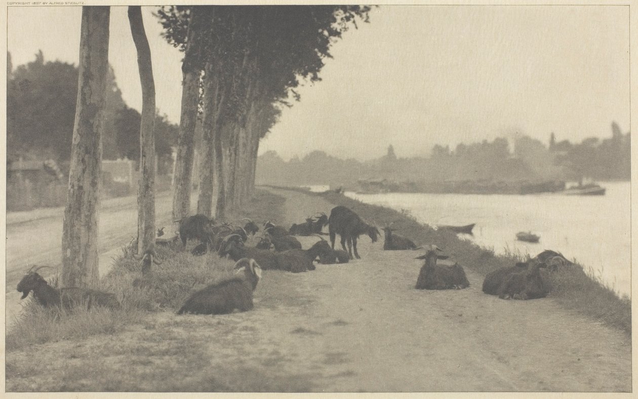 An der Seine—In der Nähe von Paris von Alfred Stieglitz