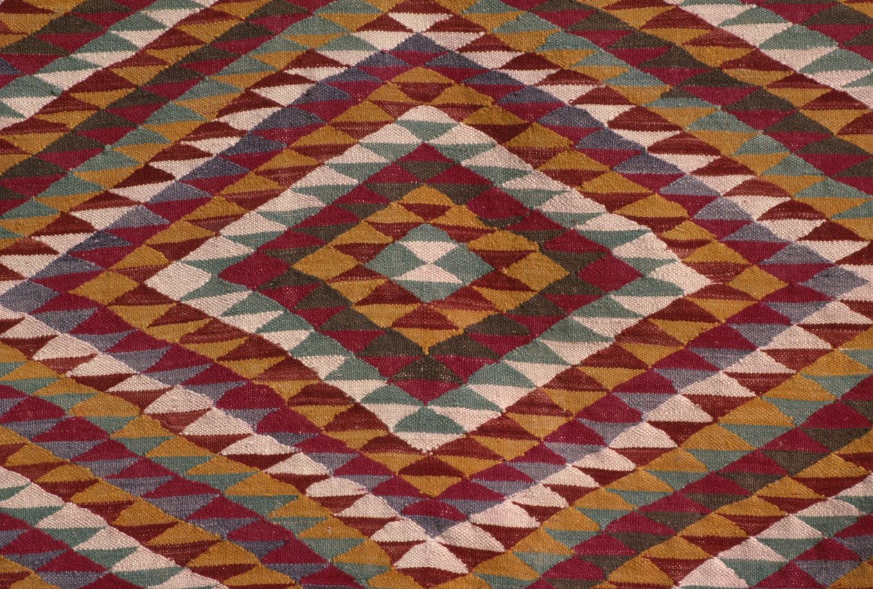 Teppich aus dem Mzab-Tal (Wolle) (Detail) von Algerian School