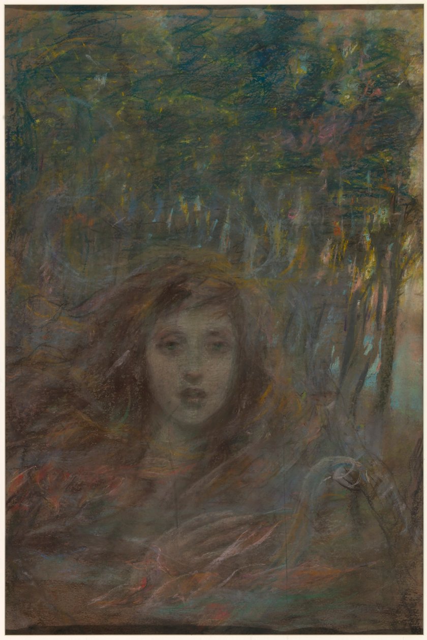 Vision durch Wälder von Alice Pike Barney