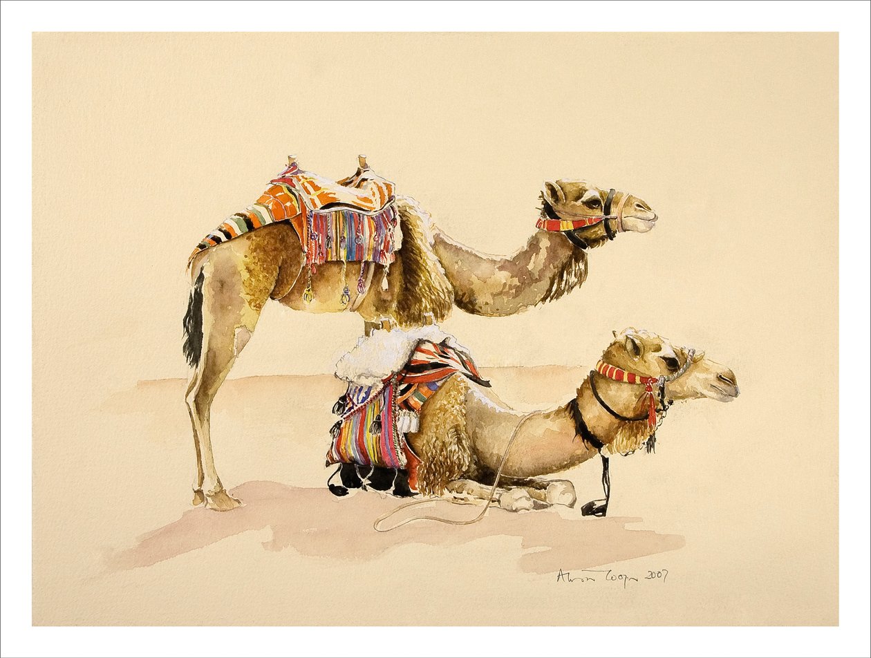 Kamele aus Petra, 2007 von Alison Cooper