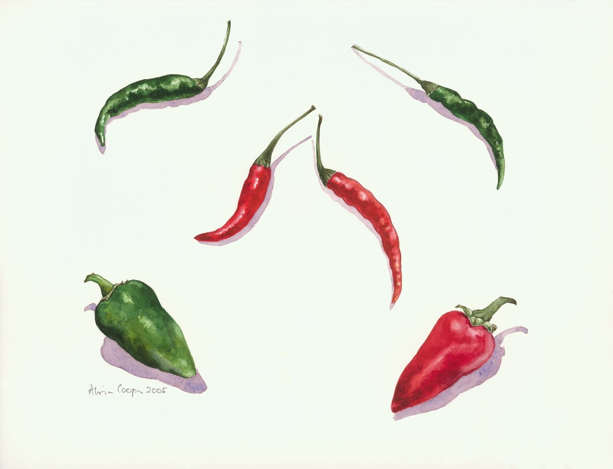 Chilis und Paprika, 2005 von Alison Cooper