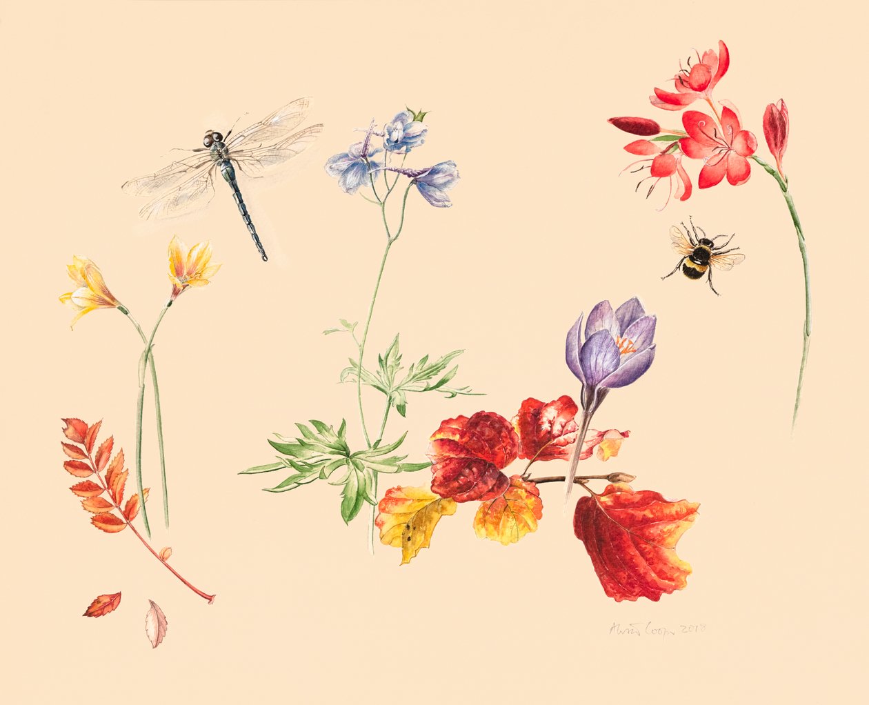 Herbstblumen und Insekten von Alison Cooper