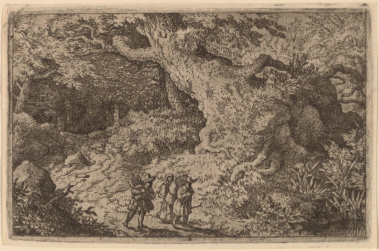Ein dichter Wald von Allart van Everdingen