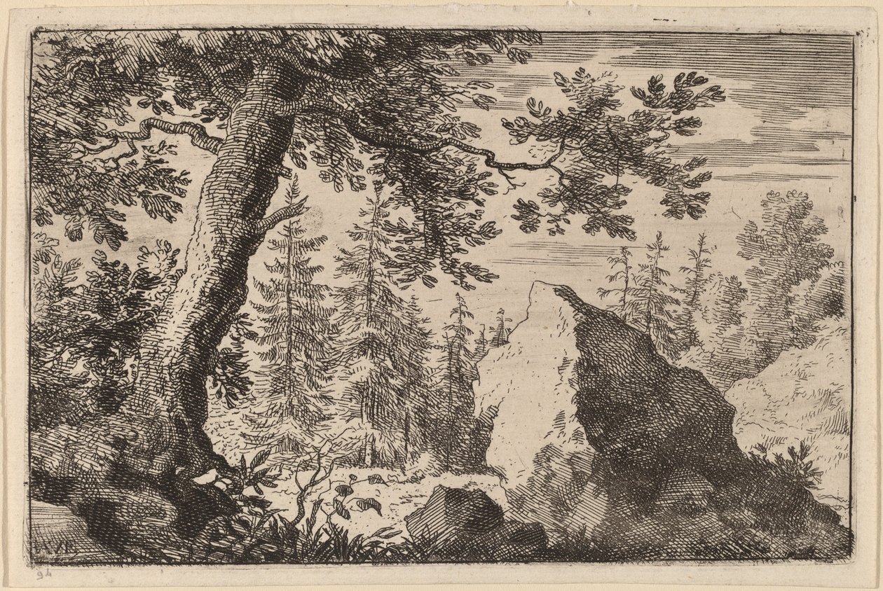 Fels im Wald von Allart van Everdingen