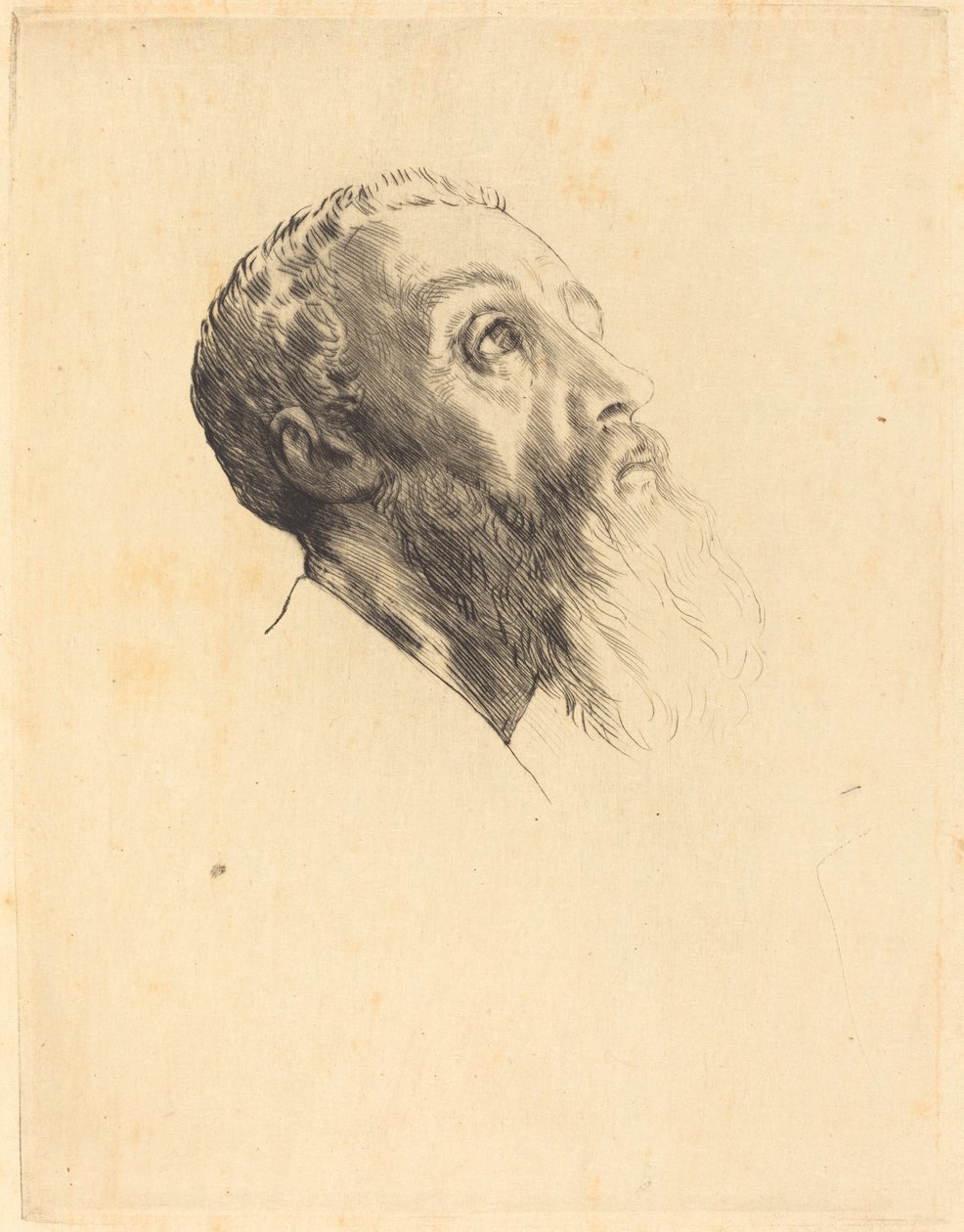 Kopf eines Modells Tête de modèle von Alphonse Legros
