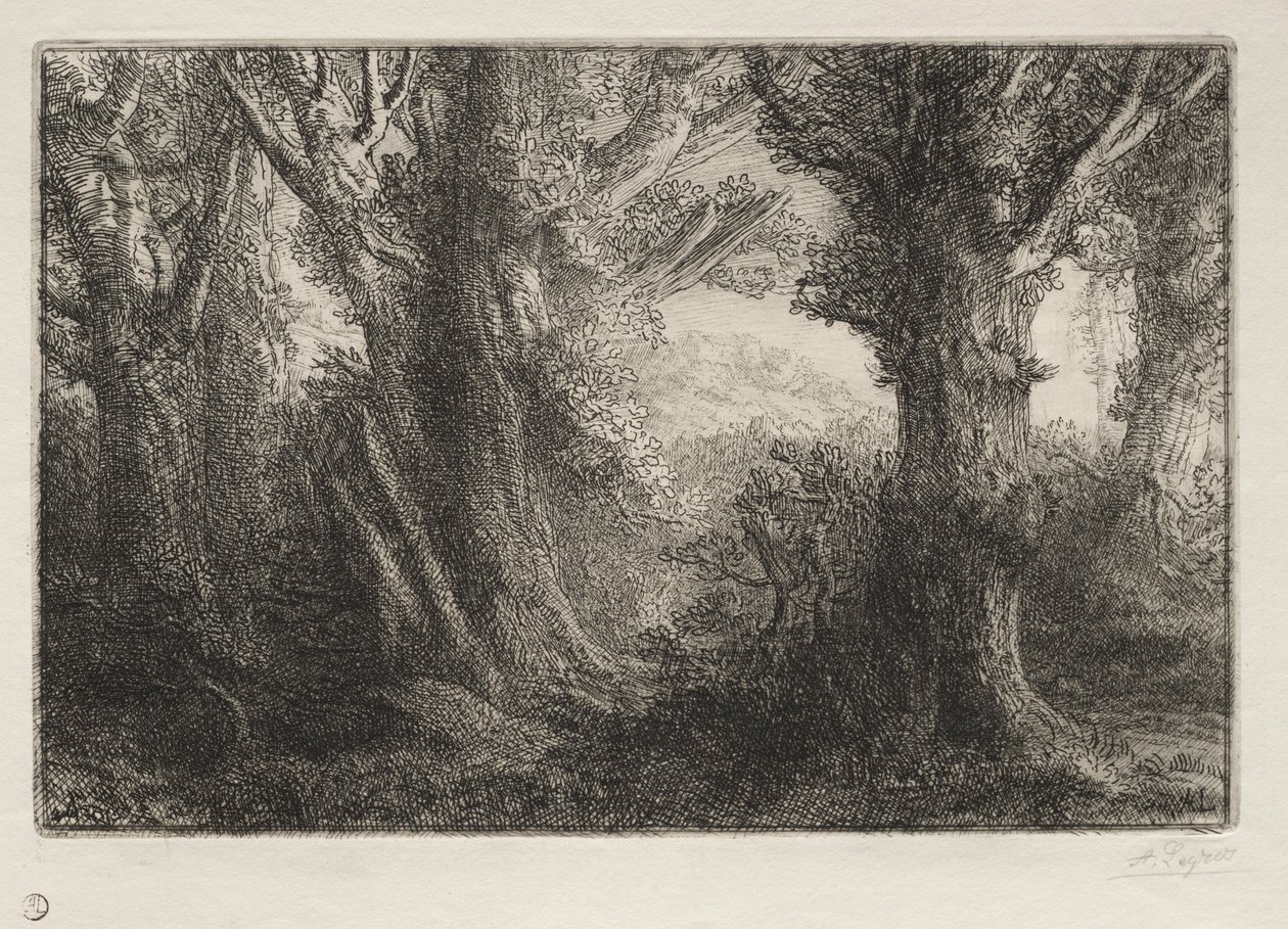 Im Wald bei Conteville von Alphonse Legros