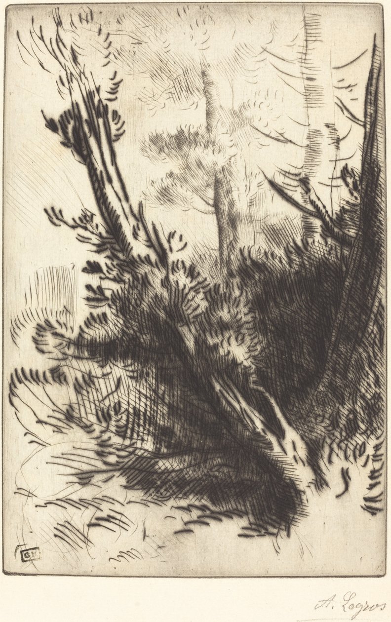 Im Wald (Dans les bois) von Alphonse Legros