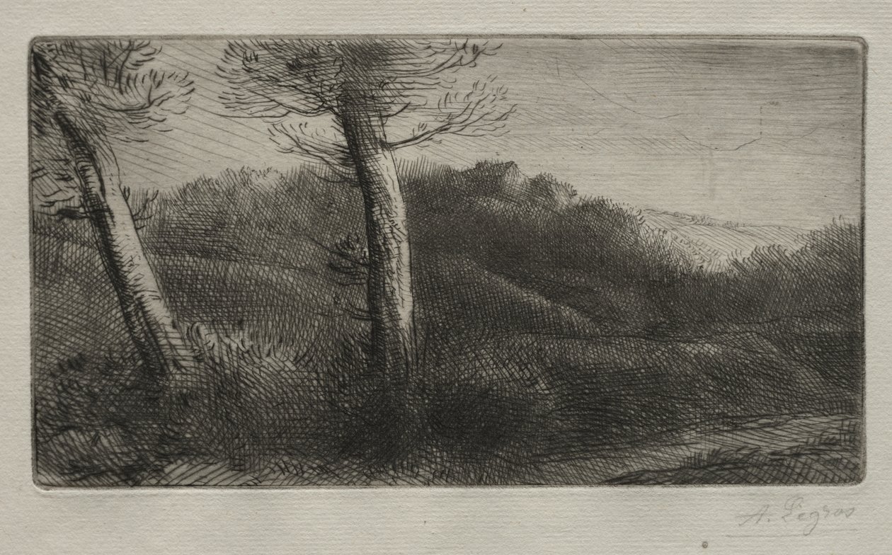 Der Reisende, ausgestreckt auf dem Gras von Alphonse Legros