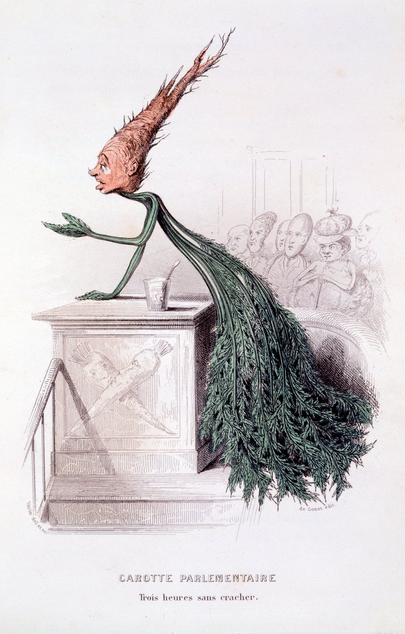 Parlamentarische Karotte, Illustration aus 
