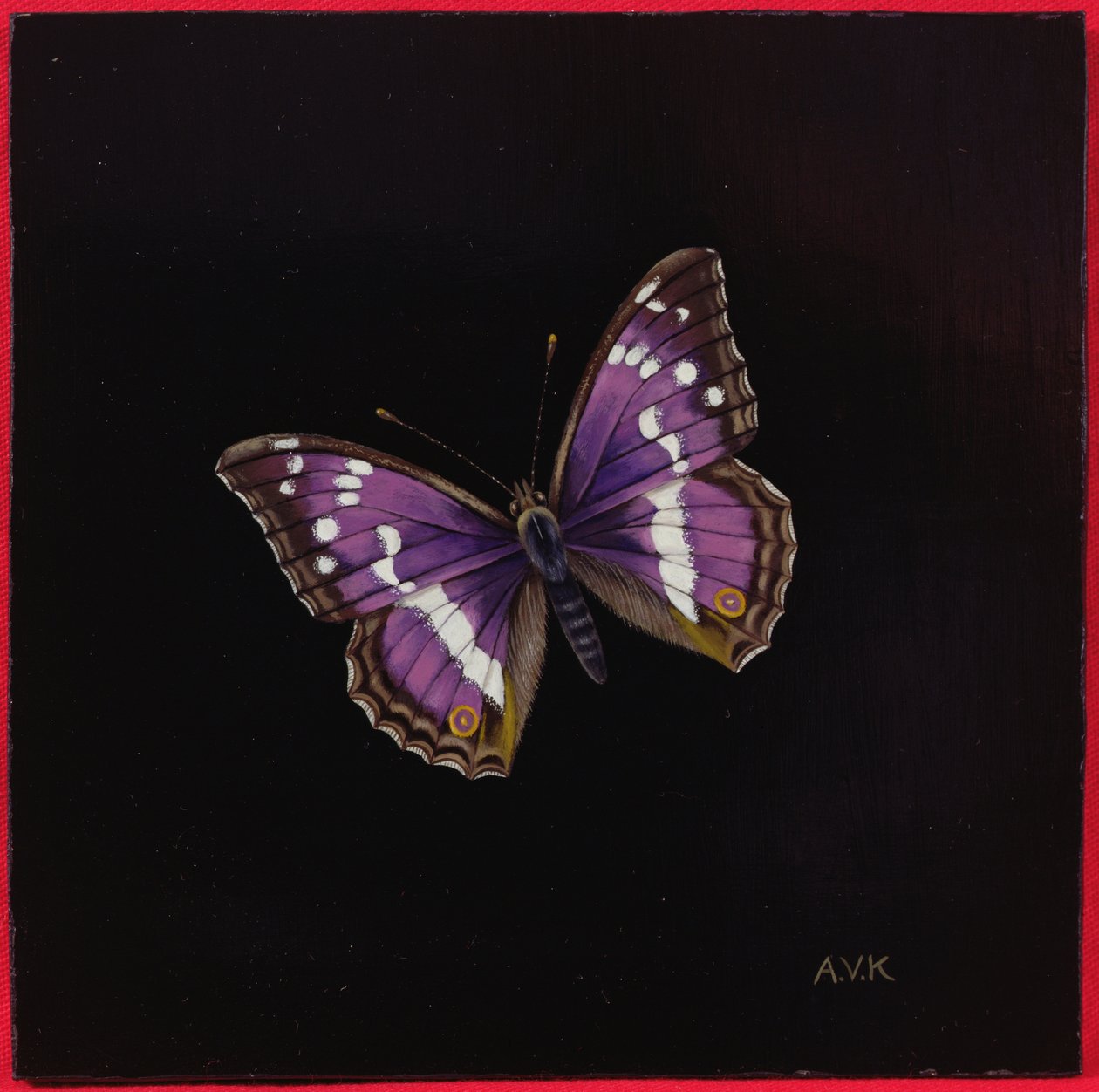 Purpurroter Kaiserfalter, 2000 von Amelia Kleiser