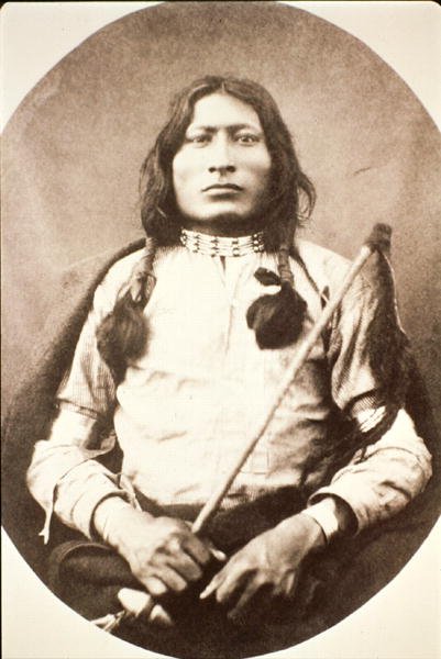 One Bull von American Photographer