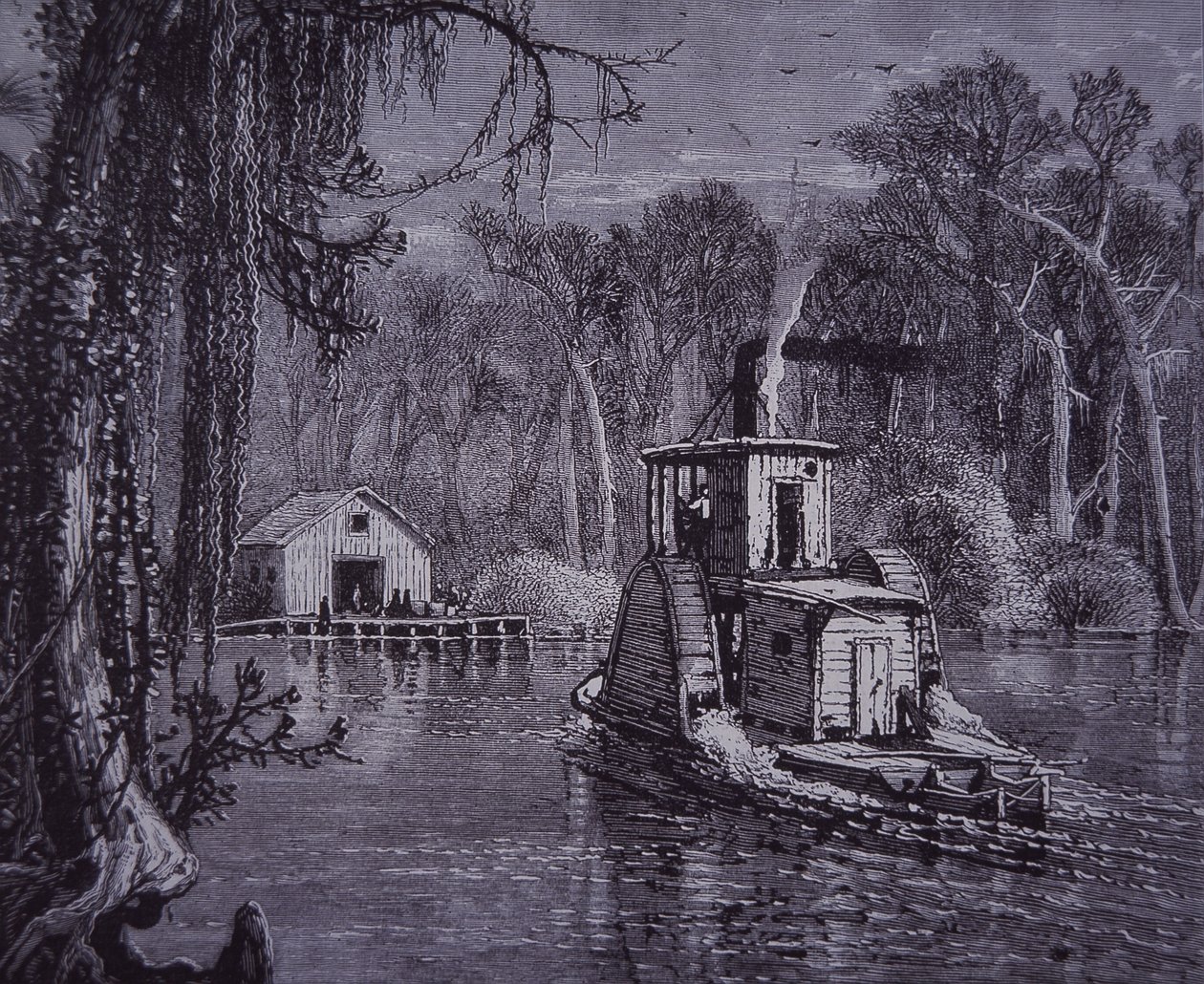 Szene der Everglades in Florida von American School