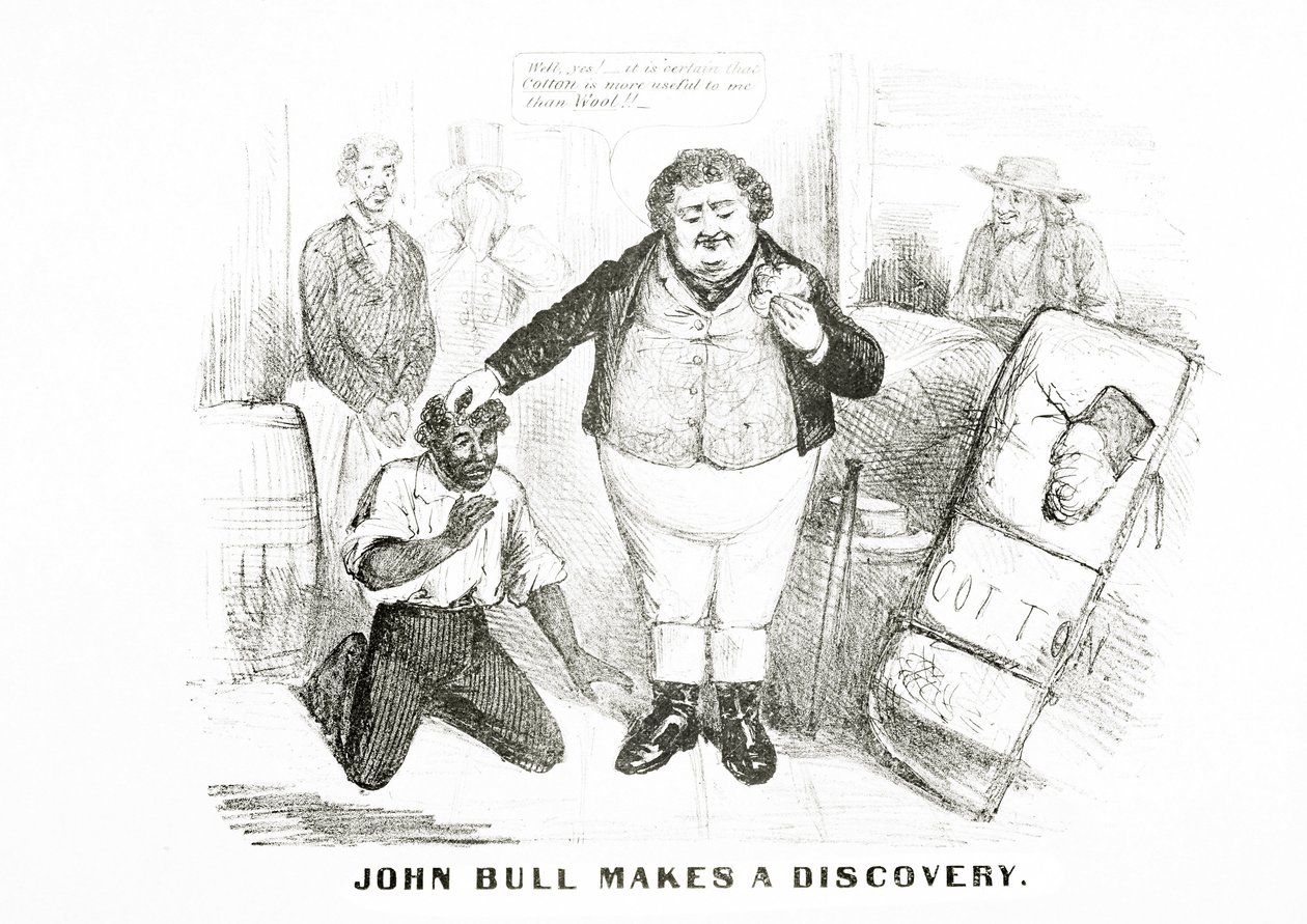 John Bull macht eine Entdeckung (Lithografie) von American School