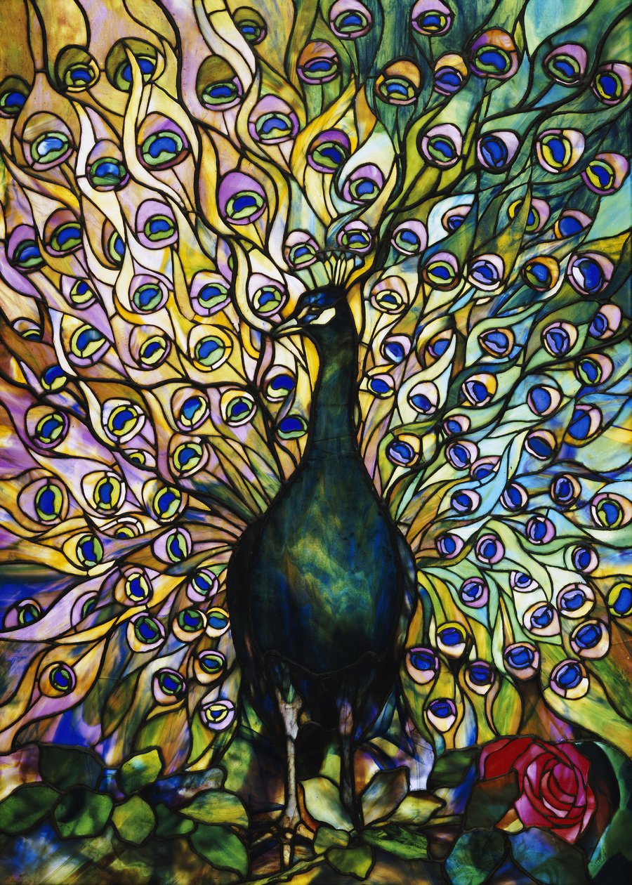 Pfau von American School