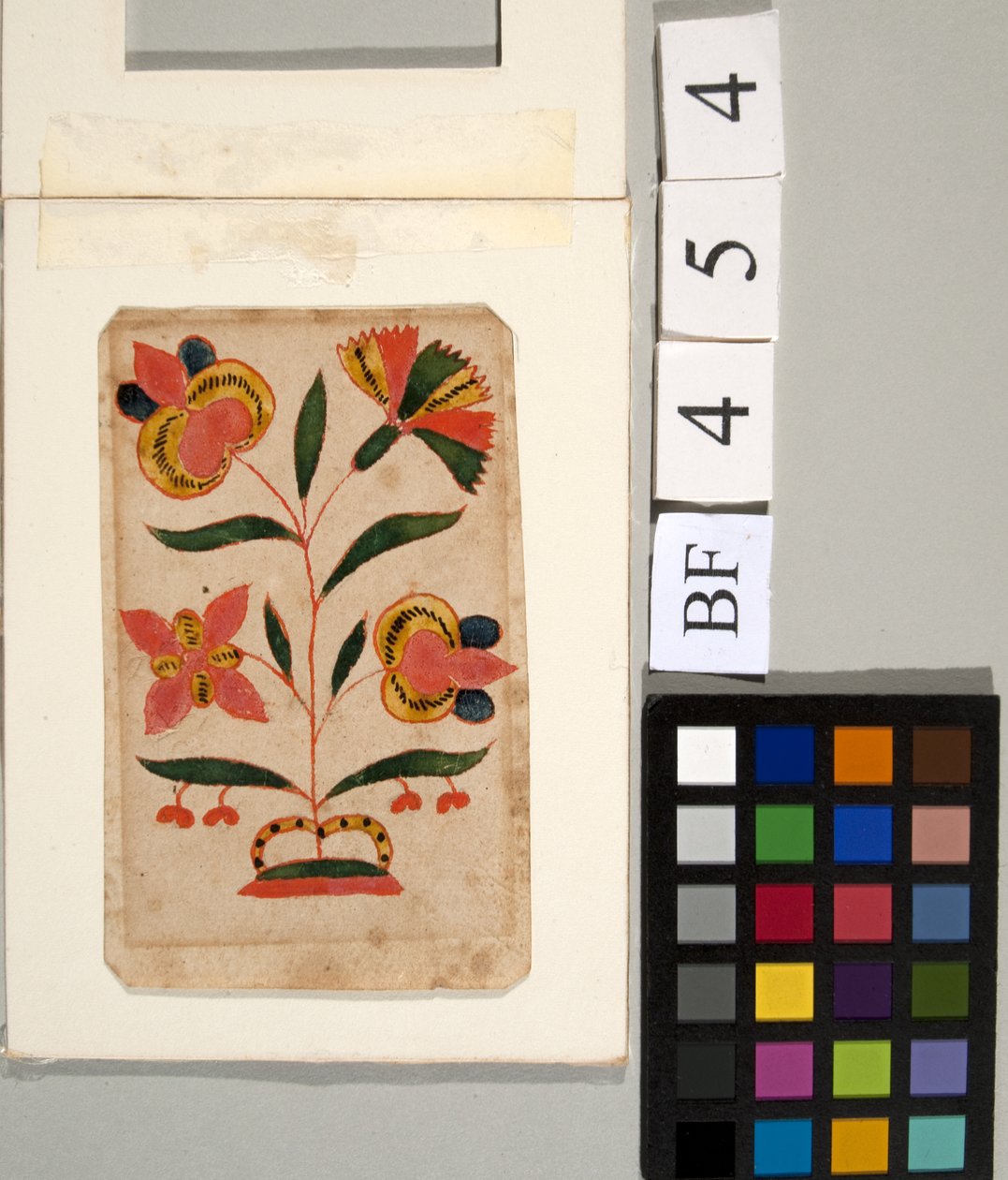 Blumenstudie von American School