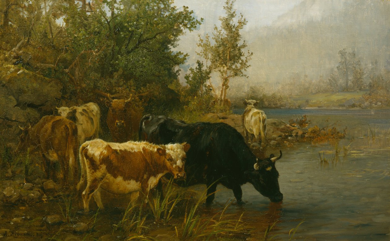 Kühe am Wasser von Anders Askevold
