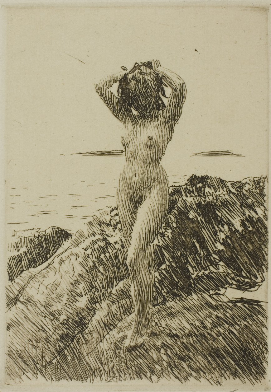 Hårstång (Seegras-Kranz) von Anders Leonard Zorn